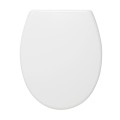 4008912514482_Deska WC wolnoopadająca wypinana duroplast AIDEN TIGER biała 251480646.jpg