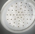 4008915205424_Tiger Splash Monaco rączka prysznicowa chrom Ø 6 cm.jpg