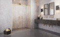 Radaway IDEA DWD GOLD drzwi prysznicowe