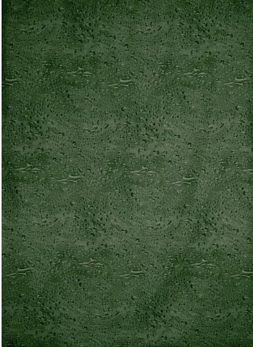 Duschy 628-54 WATER ciemnozielony zasłona prysznicowa 180x200cm.jpg
