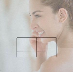 LIV/SCHWAB 4060414131 ARTE przycisk do spłukiwania METALL Matowy chrom