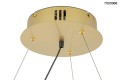 MSE010100159_circle_spot_gold_logo_9.jpg