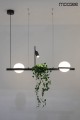 MOOSEE lampa wisząca PLANT czarna MSE010100156.jpg