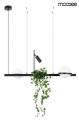 MOOSEE lampa wisząca PLANT czarna MSE010100156.jpg