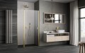 Radaway Nes Brushed Gold DWJ II