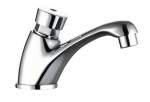 AQUALINE ZY12053 Zawór czasowy umywalkowy, chrom