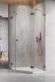 Radaway Essenza Pro PTJ Brushed GunMetal kabina pięciokątna