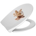 Duschy 805-17 deska WC wolnoopadająca SHELL LUX