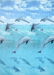 Duschy  622-17 Ocean - zasłonka prysznicowa 180x200