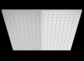 path-875.jpg