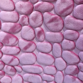 Duschy 765-86 dywanik łazienkowy RIMINI 60x95cm różowy