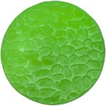 Duschy 767-55 dywanik łazienkowy BELLARINA zielony